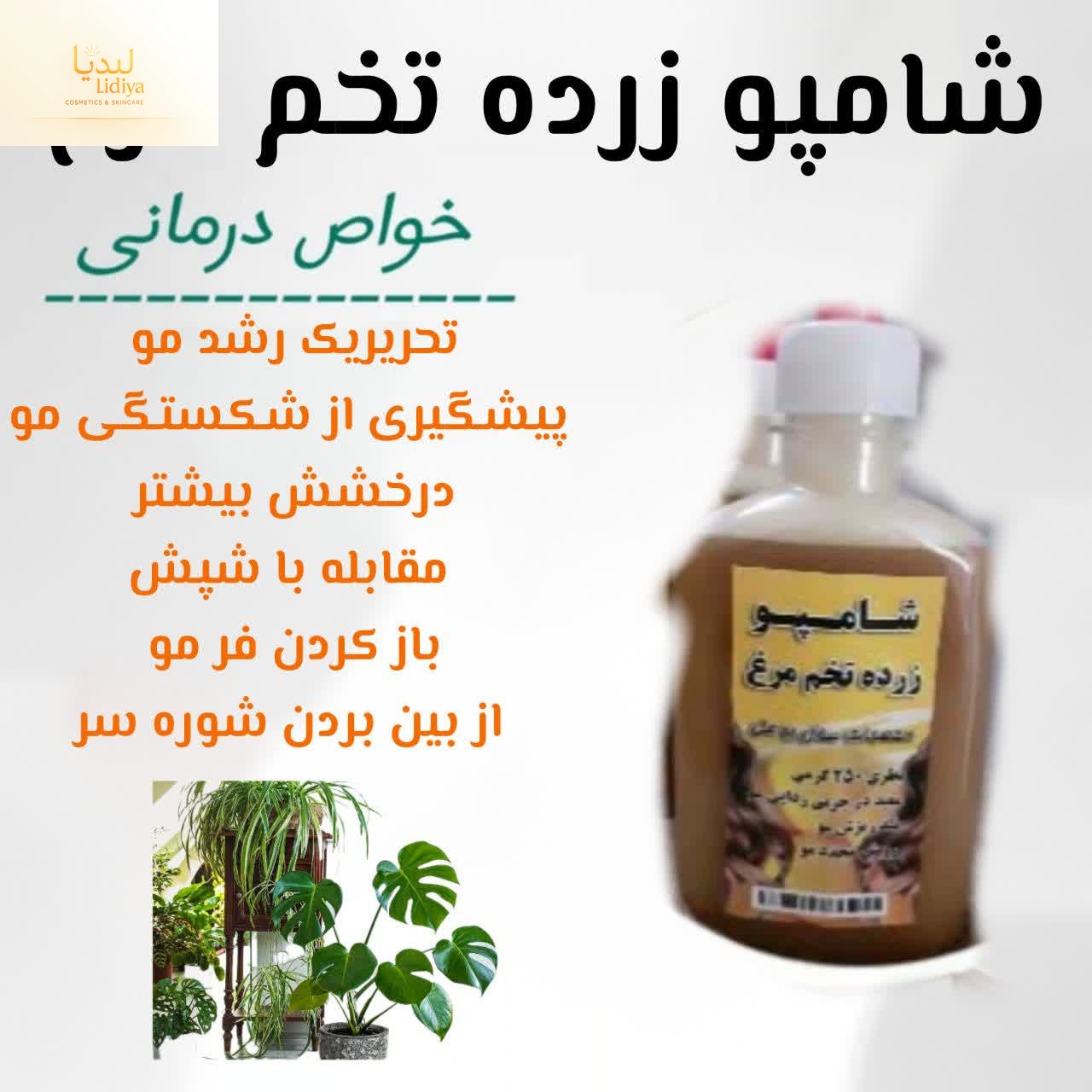 شامپو زرده تخم مرغ ۲۵۰ گرمی